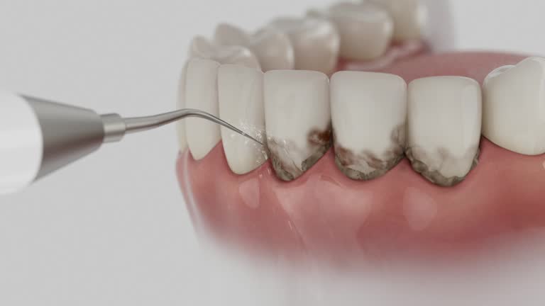 Reliable Dental contractor in Conway, SC by Dentist Open Now